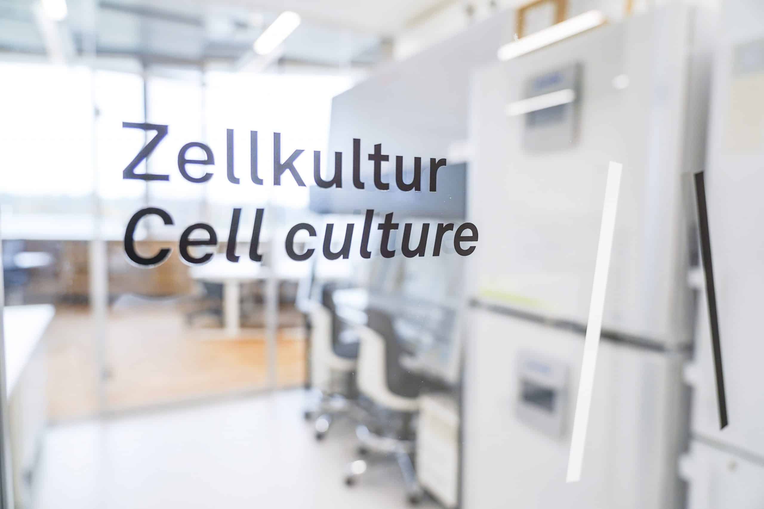 Tür zu einem Bio Labor mit der Aufschrift Zellkultur