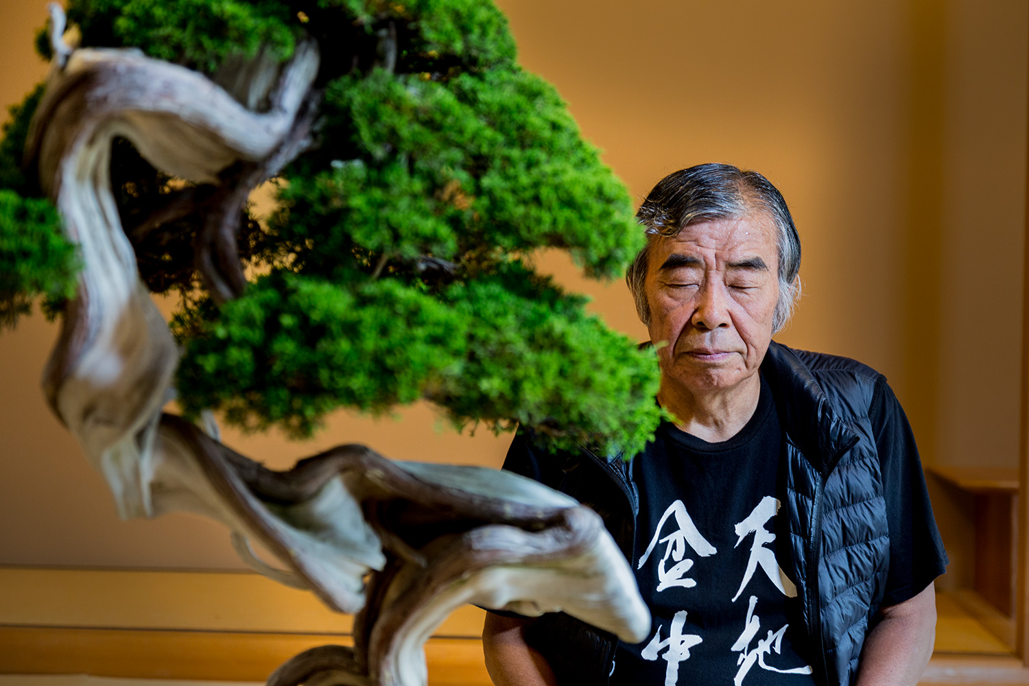 Bonsai Master Hatsuji Kato Portrait inn einem japanischem Zimmer hinter einem Bonsai