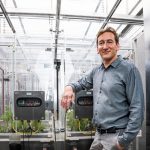 Portrait eines Wissenschaftlers in einer Kammer die als Aufzuchtlabor für Bäume fungiert