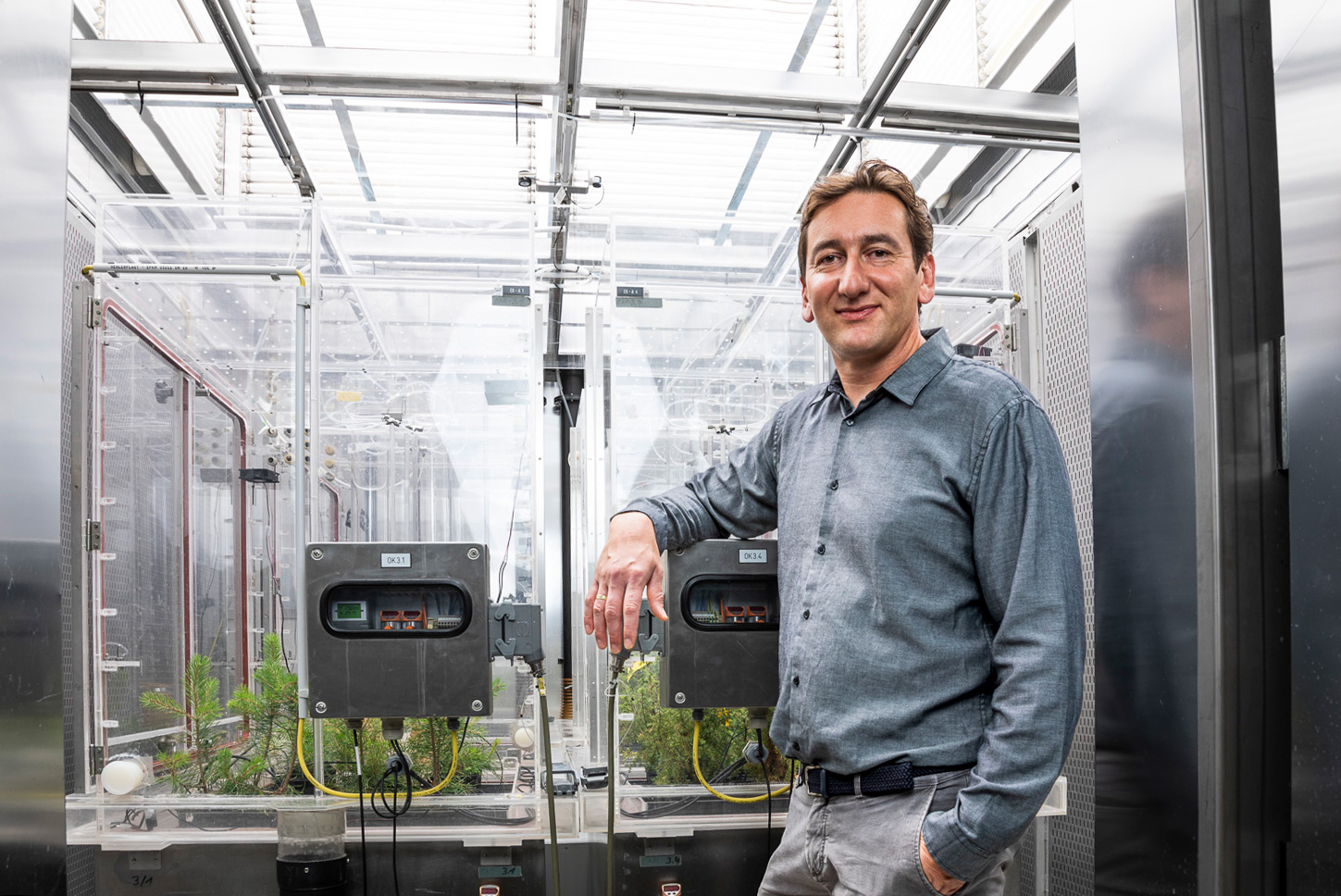 Portrait eines Wissenschaftlers in einer Kammer die als Aufzuchtlabor für Bäume fungiert
