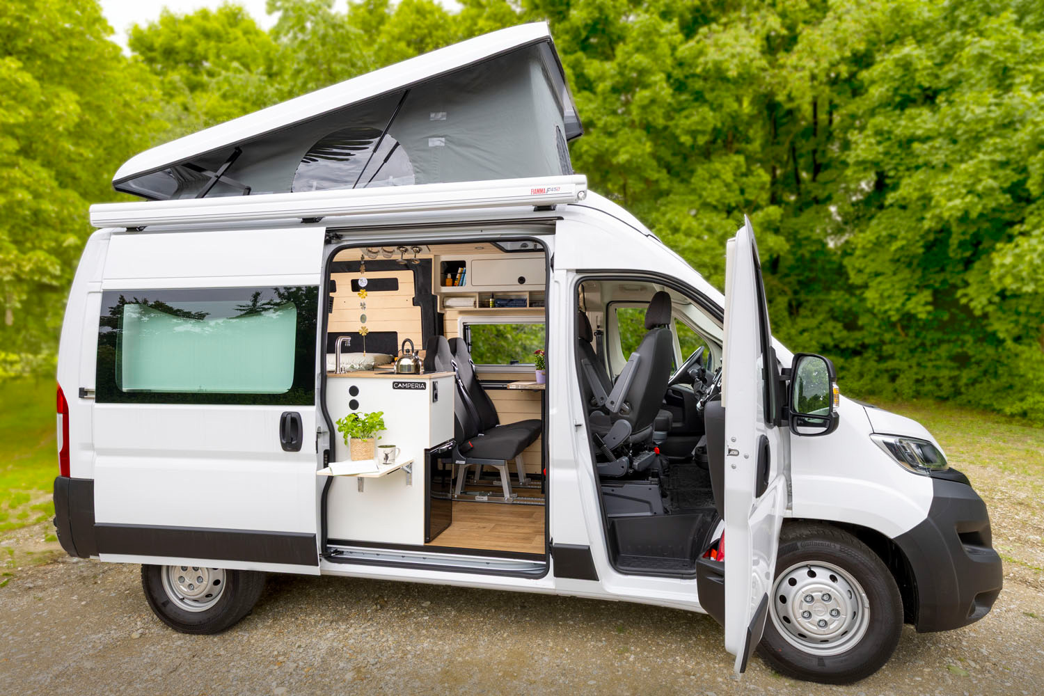 Camping Van ausgebaut mit Aufstelldach steht im Grünen